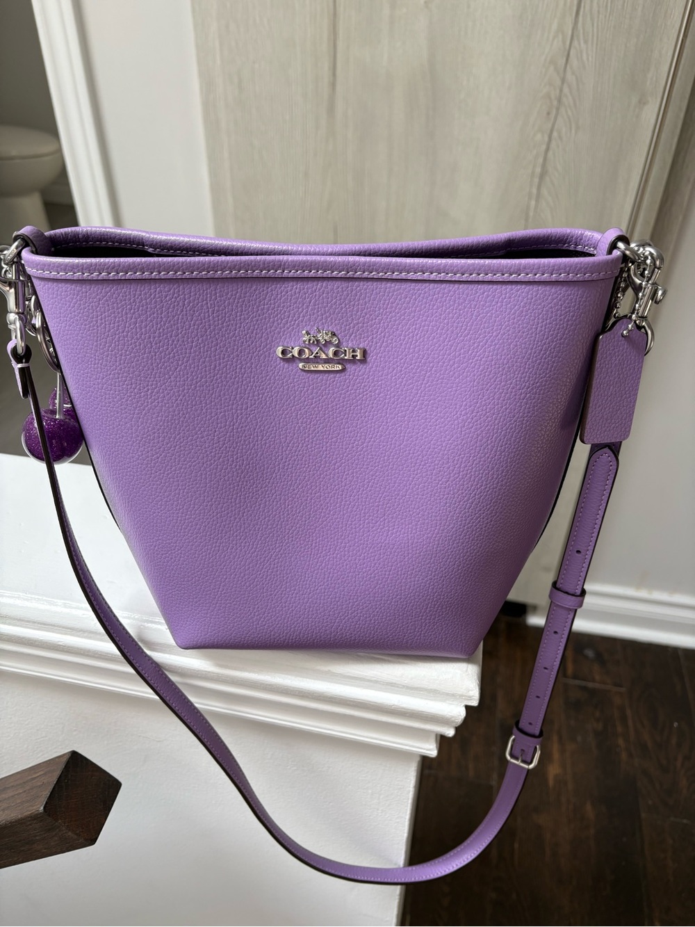 Coach City Bucket Bag with Silver Hardware - Picture 5 of 8